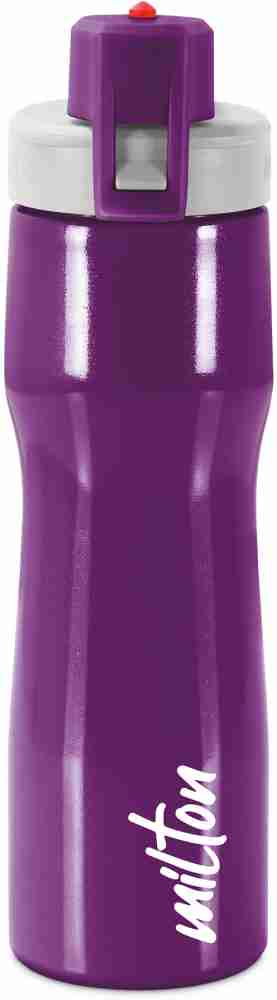 Buy Steel Water Bottle Online in India, Powder Parma Purple