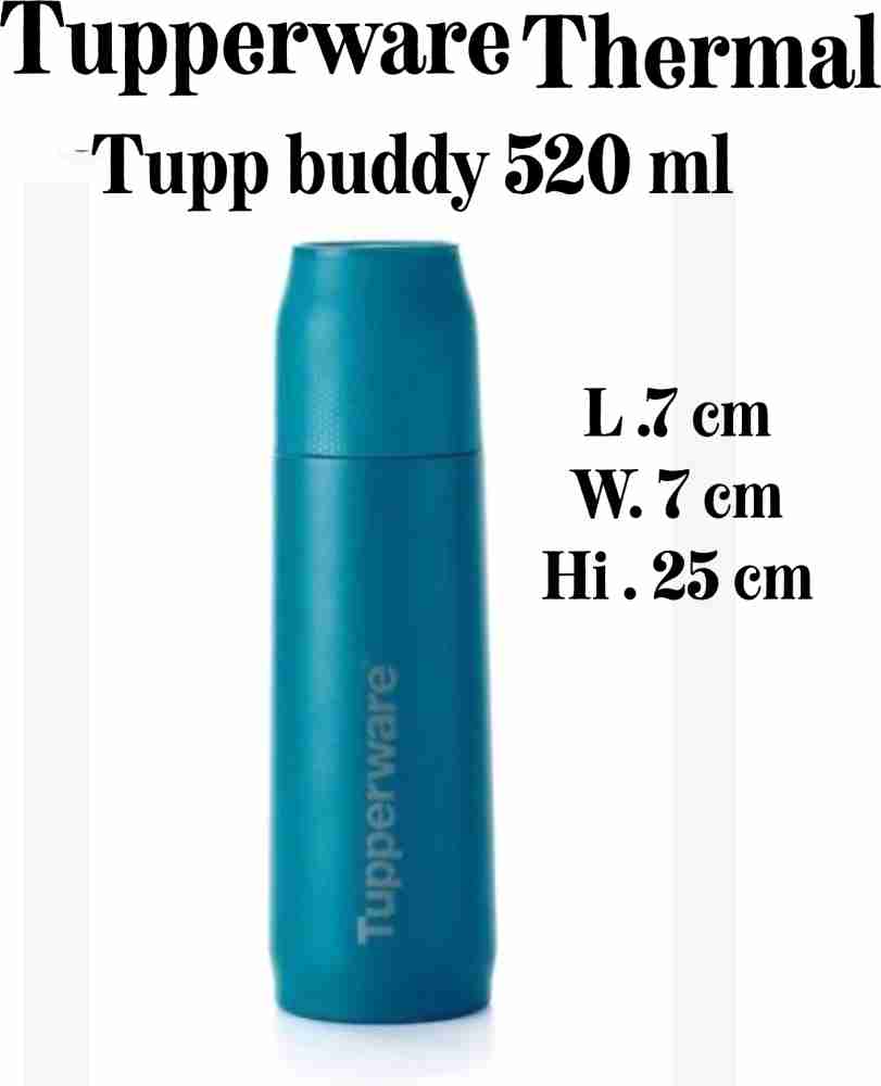 https://rukminim2.flixcart.com/image/850/1000/xif0q/bottle/y/t/o/520-tupp-buddy-insulated-bottle-520-ml-thermal-bottle-air-tight-original-imagpkyfcq5npjmj.jpeg?q=20