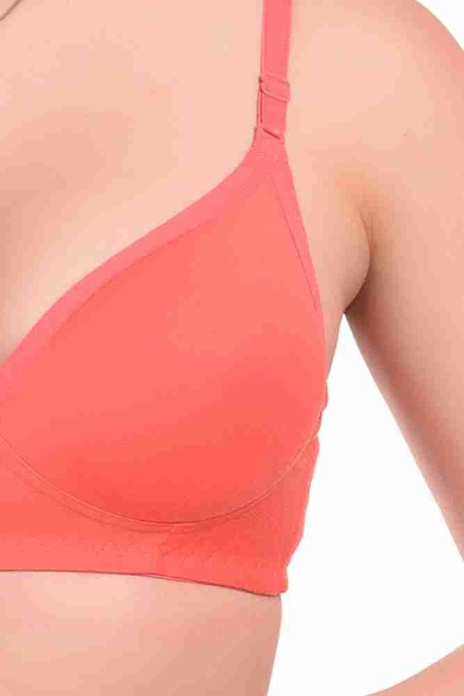 Alishan Colorful C Cup Full Covrrage every Day Bra (2PIc. Pack