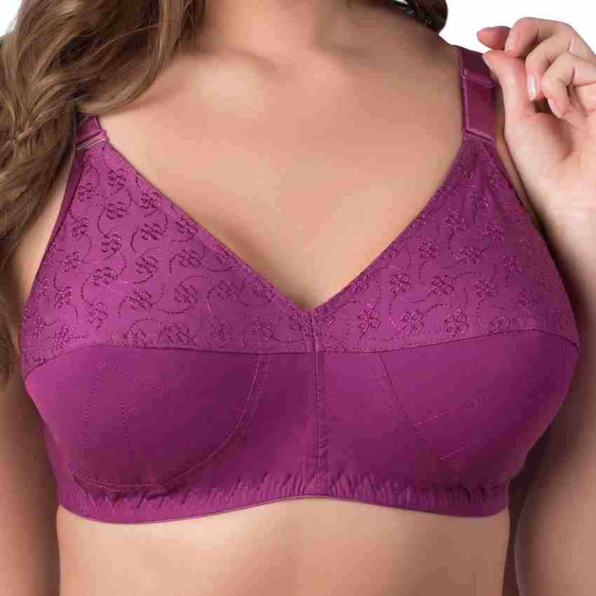 Rajnie Purple Padded Bra