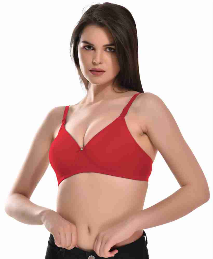 Alishan Women Full Coverage Lightly Padded Bra - Buy Alishan Women Full  Coverage Lightly Padded Bra Online at Best Prices in India