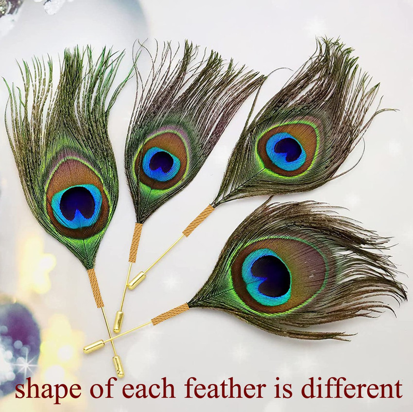 Peacock feather pin discount
