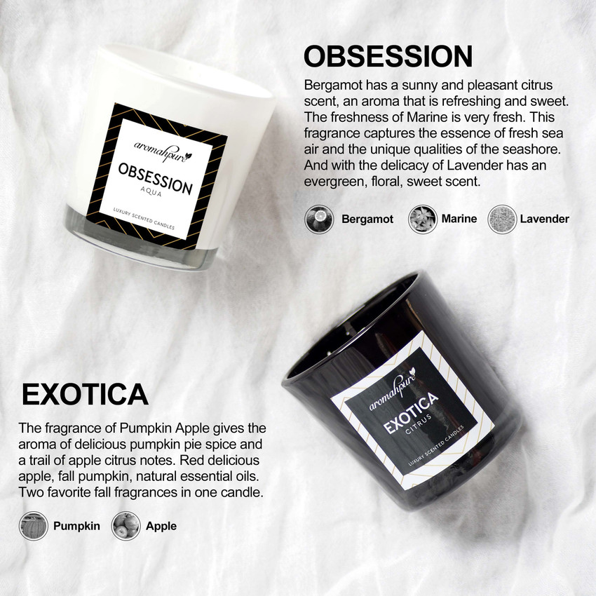 Scent of obsession cheap