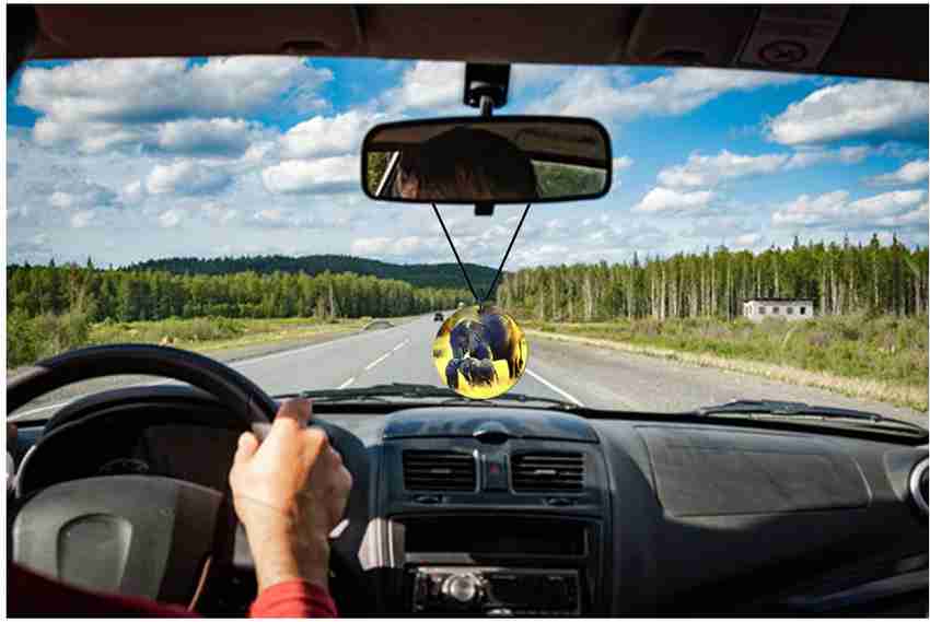 Elephant rear discount view mirror charm