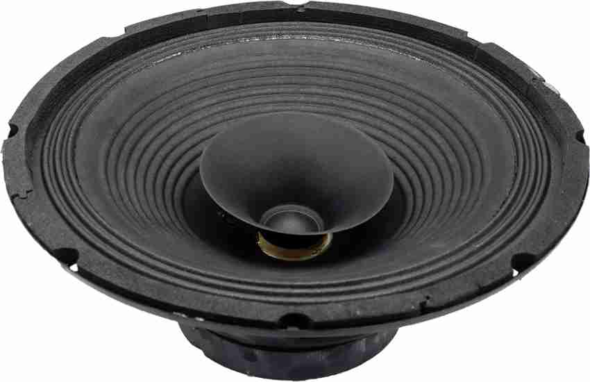 Speaker 12 hot sale inch 100 watt