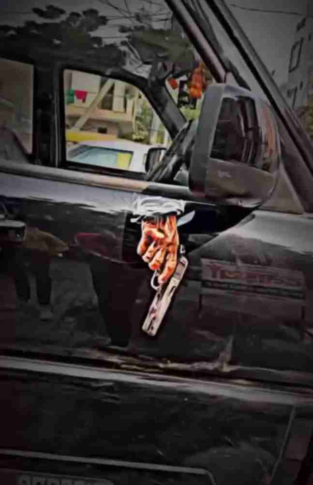 Lion sticker store for car