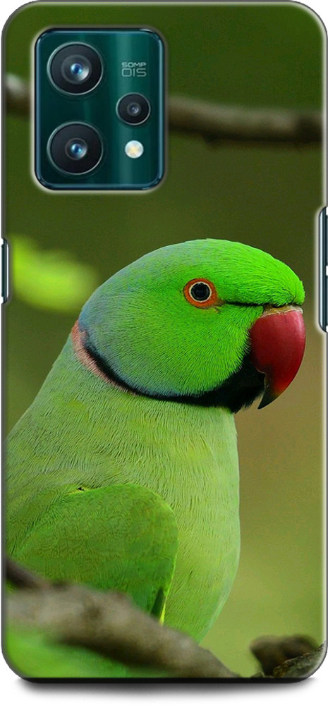 Parrot 4g top