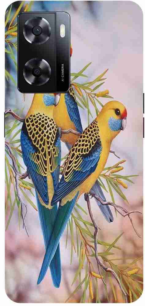 Japanese budgerigar top