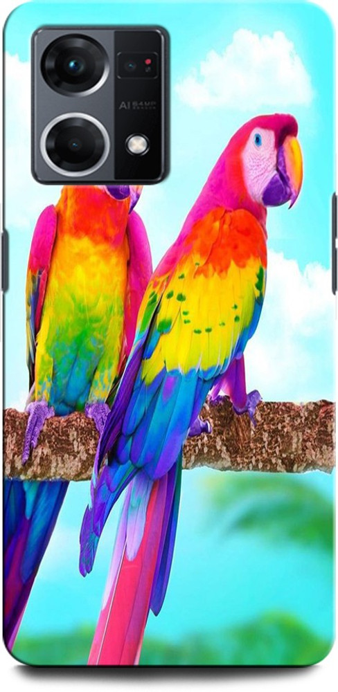 Parrot 4g store