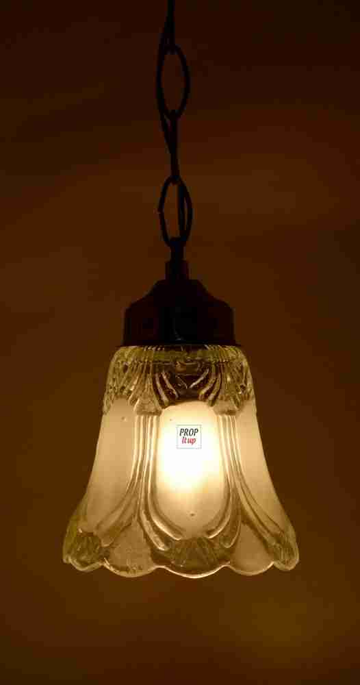 Single bulb ceiling shop light