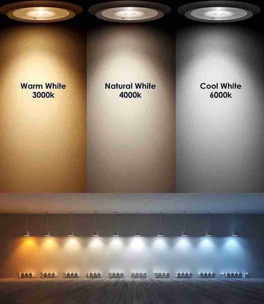 Warm white led focus light top