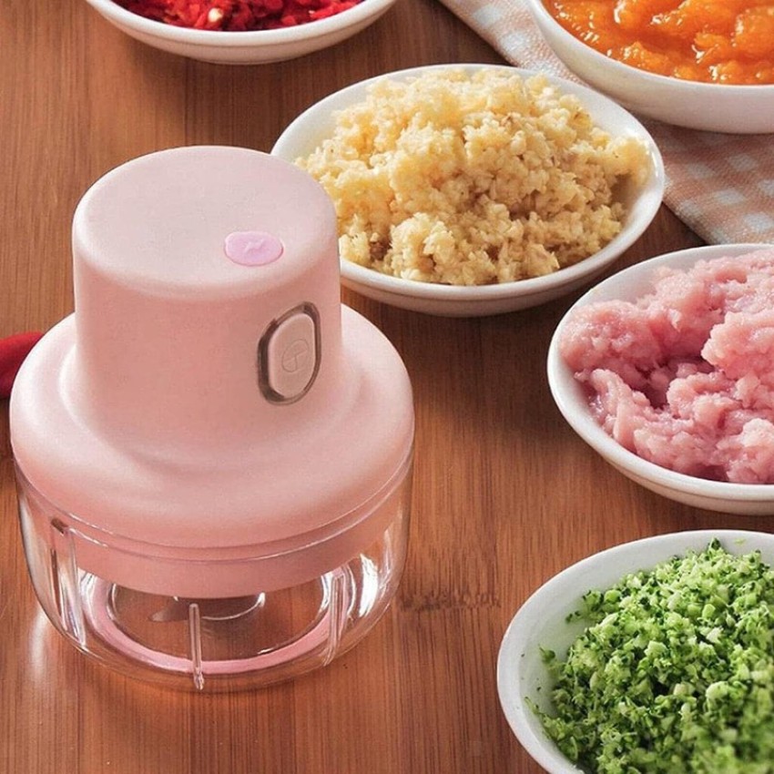 Electric Mini Garlic Chopper, Rechargeable Portable and Cordless Food  Processor, 350ML Vegetable Chopper with 304 Stainless Steel Blade, Mincer