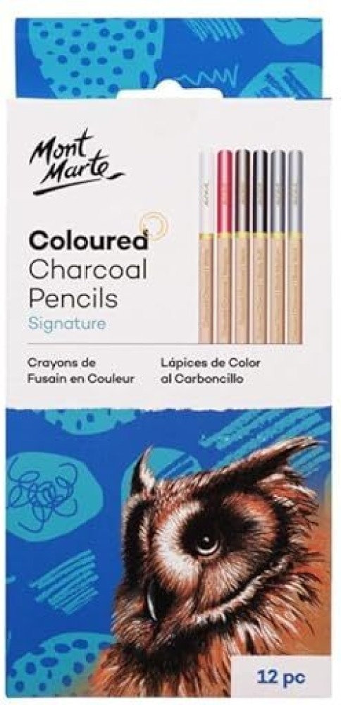 Radesh Colored Charcoal Pencils for Drawing