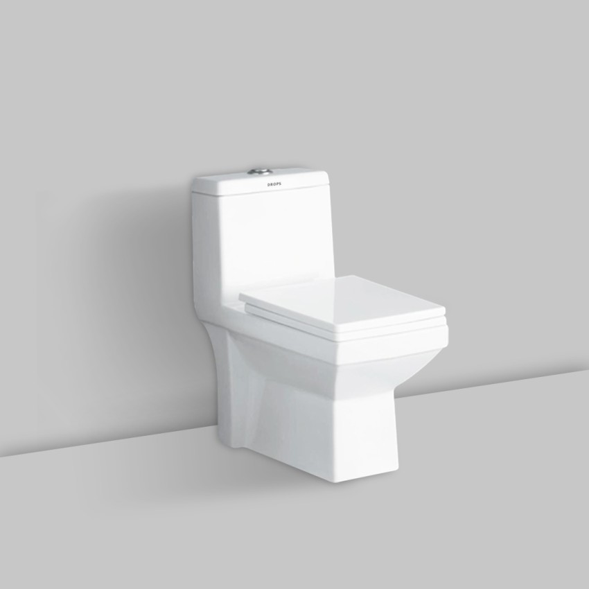 Flush System for Western & Indian Toilet Seat: Uses, Price in India