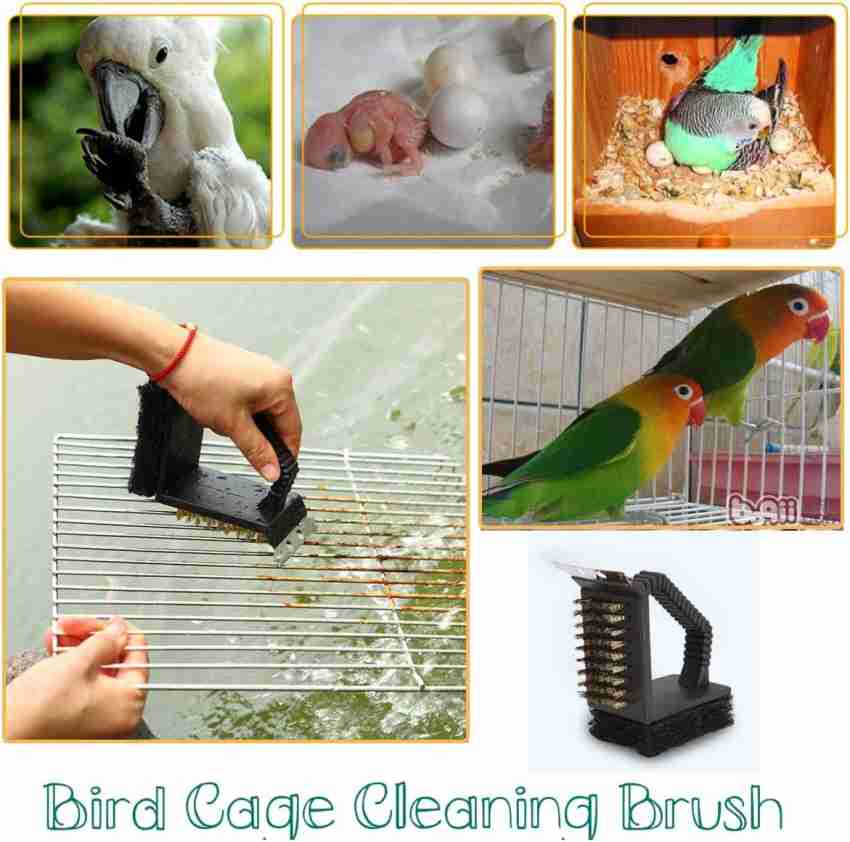 Bird cage cleaning store brushes