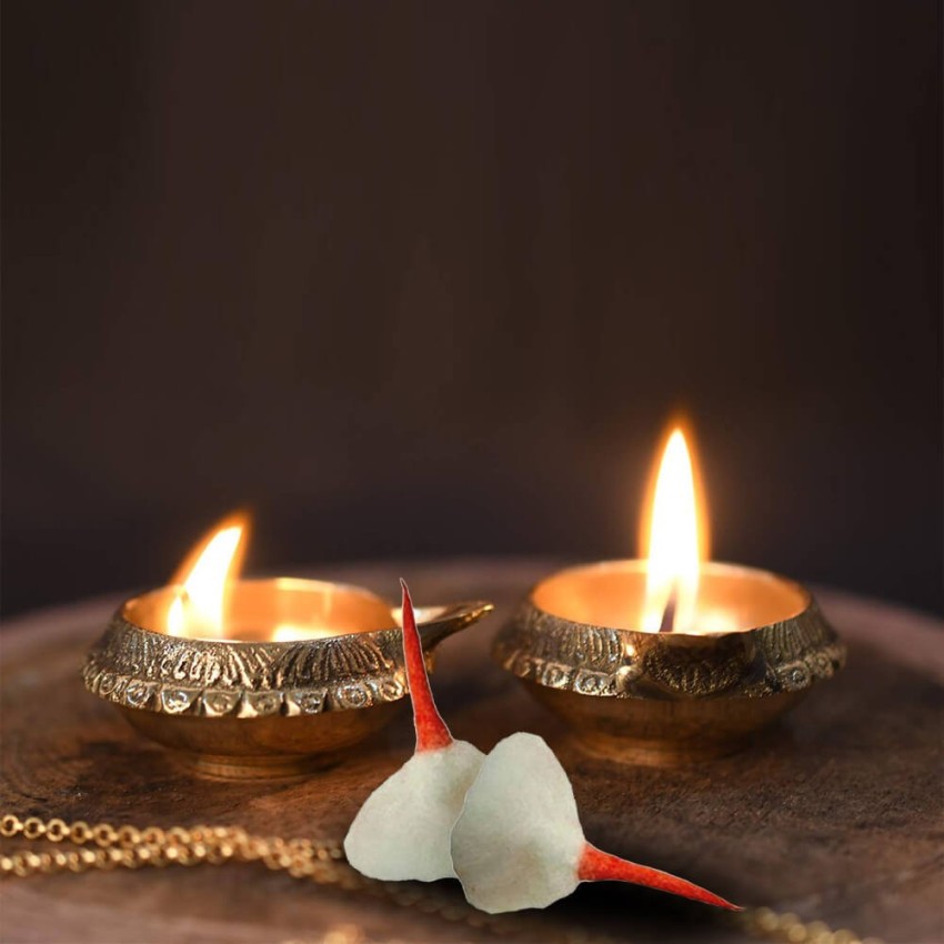 Cotton Wicks, Diya Pooja/Diwali Batti for Pooja - 5 Packet (Long) - FREE  SHIPING