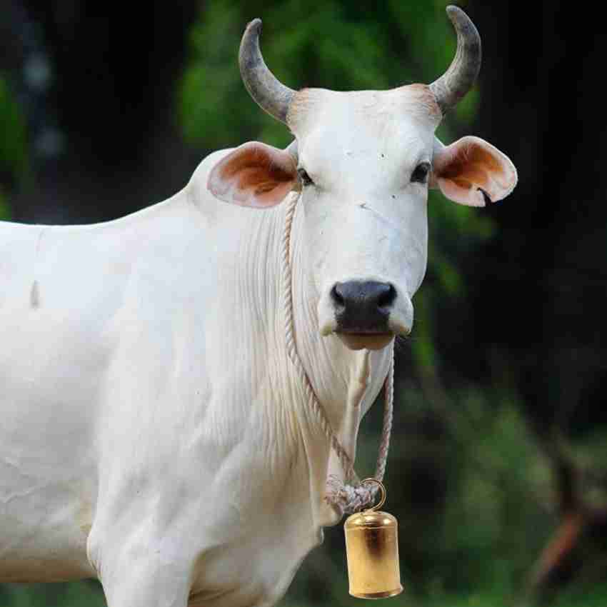 eze enterprises Cow/Bull/Buffalo Bell ,Neck Bell,Ghanti for Cow