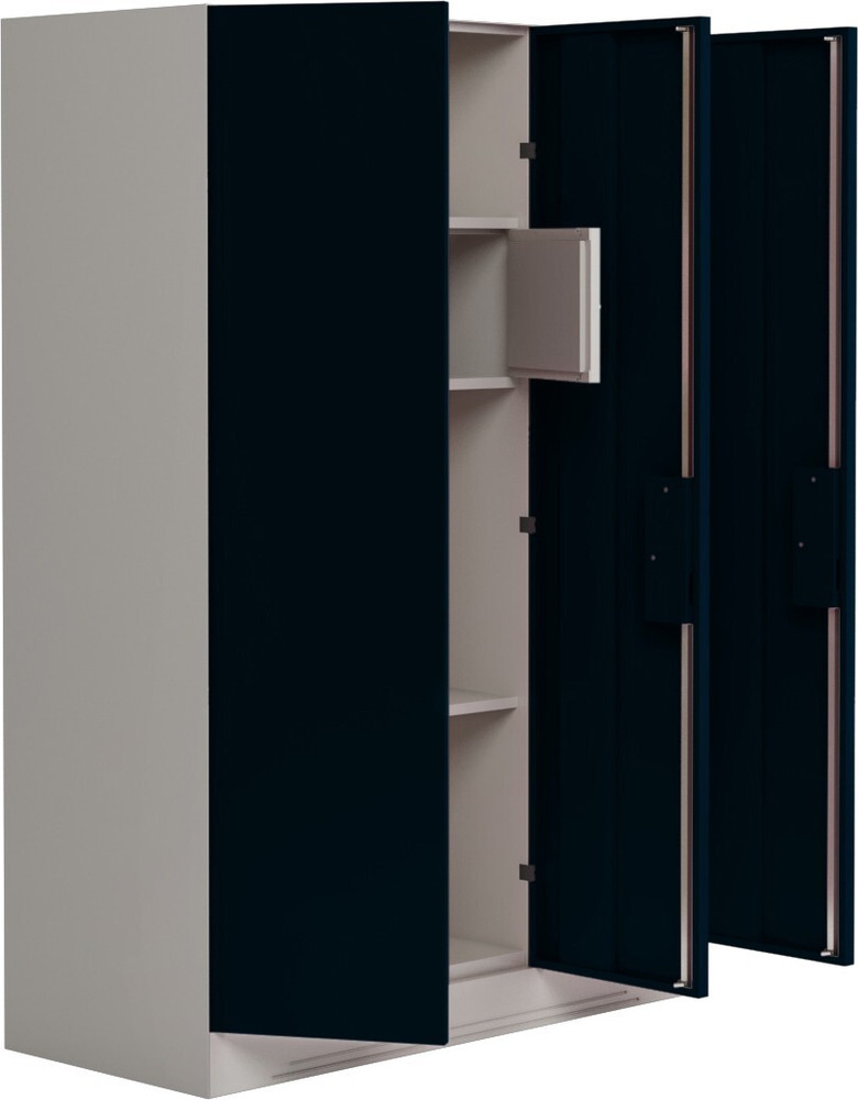 Metal almirah with store locker near me