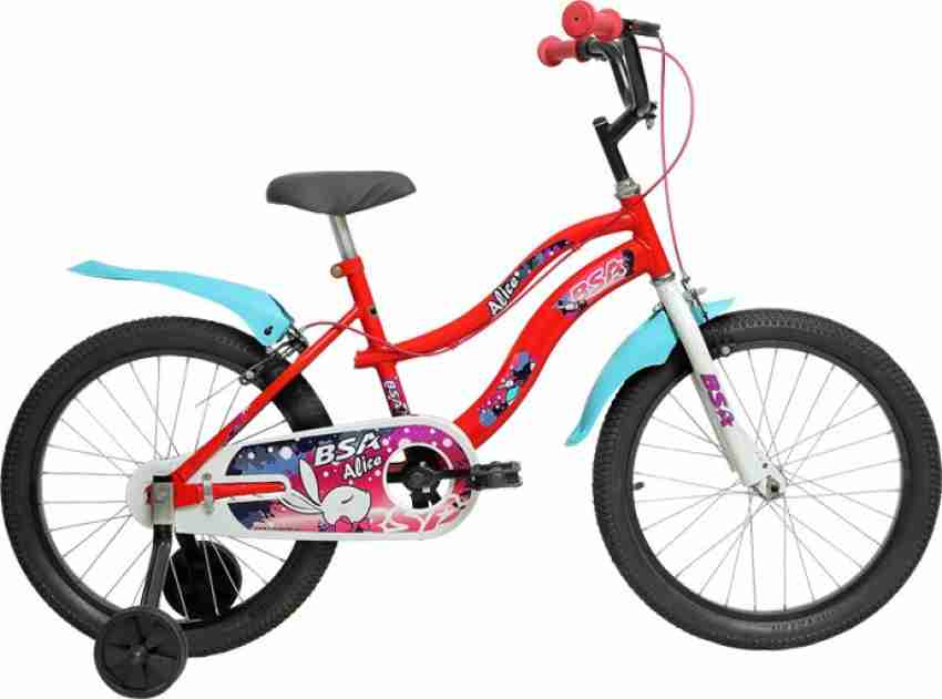 Bsa 20 best sale inch bicycle