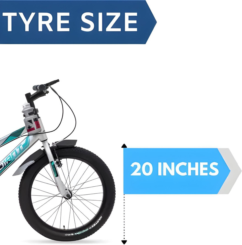 enzo cycle price