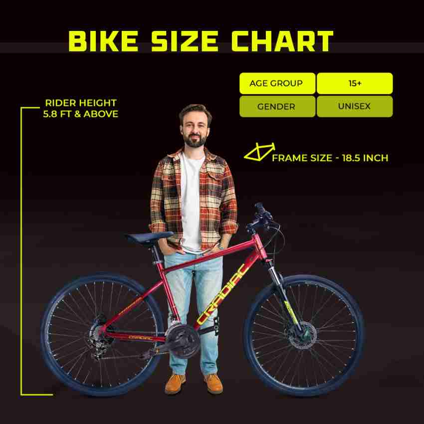 Bike best sale rider height