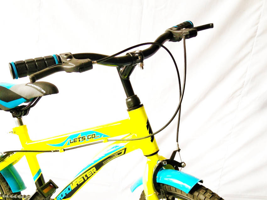 Roadmaster youth bike deals