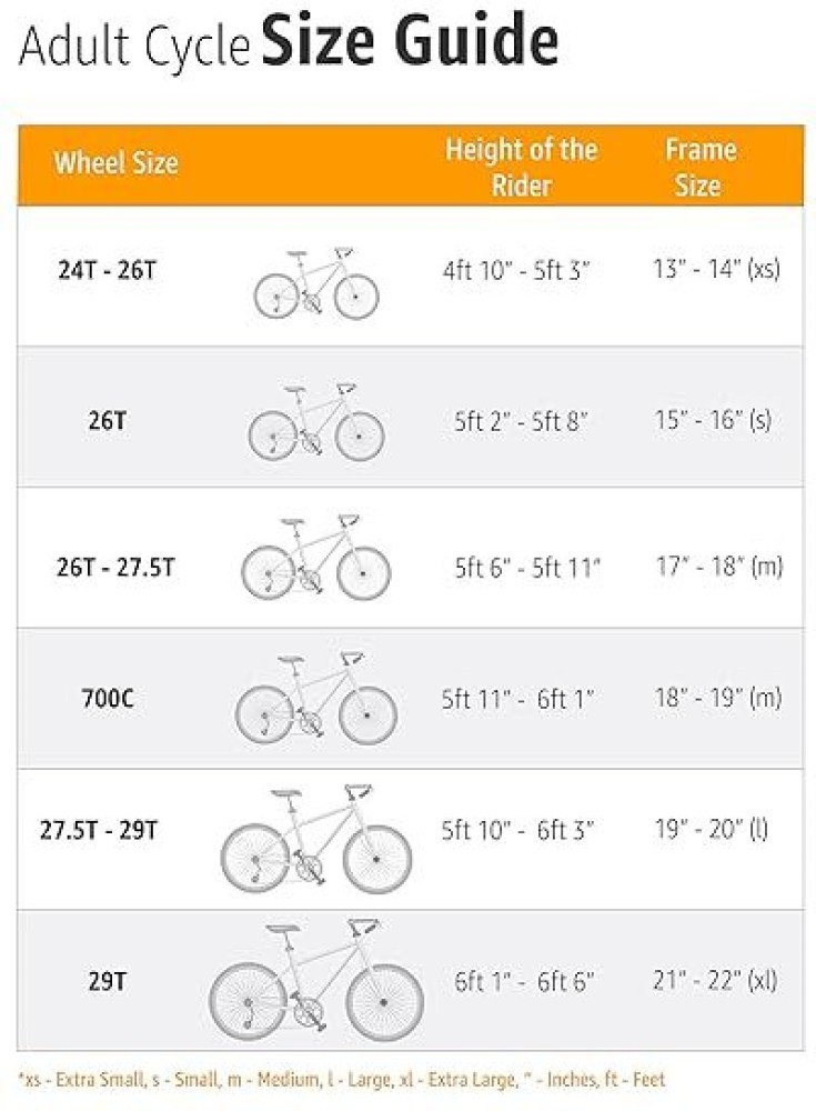 All city size chart hot sale