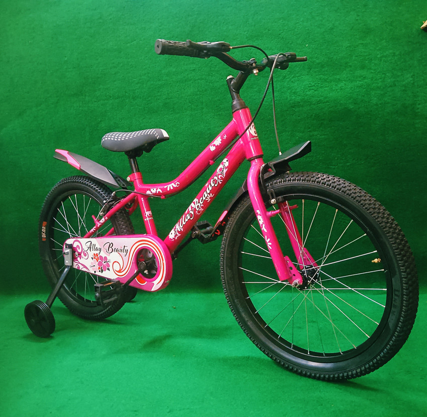 Radius bmx bike online