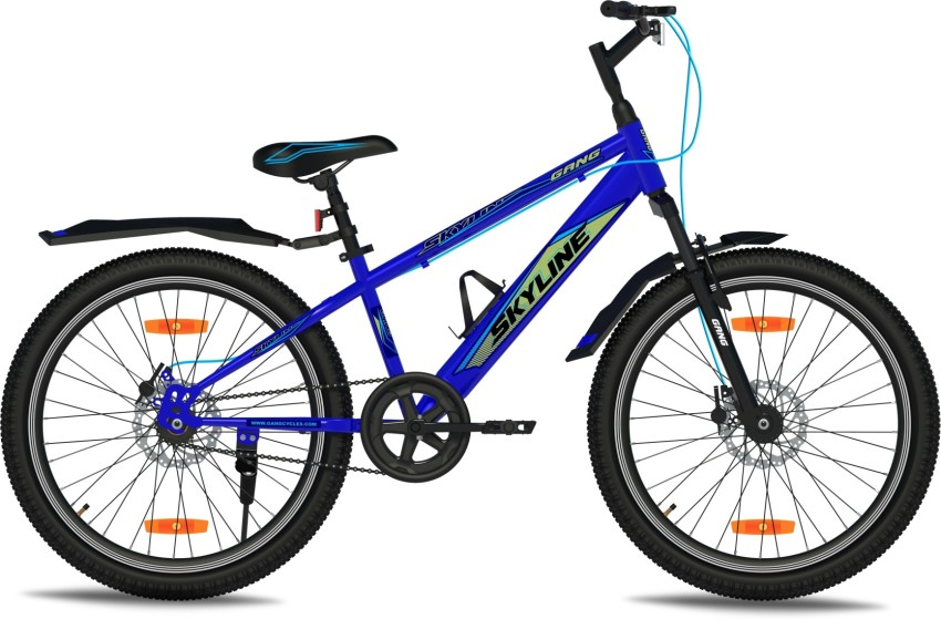 Skyline bike best sale