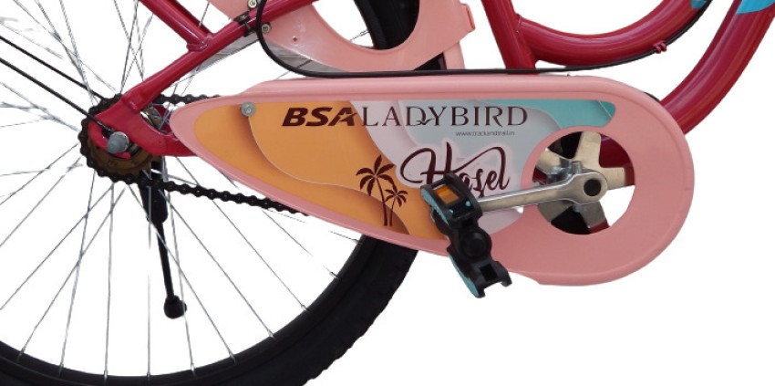 BSA Ladies Birds Hazel Bicycle Inbuilt Carrier Basket Without Gear