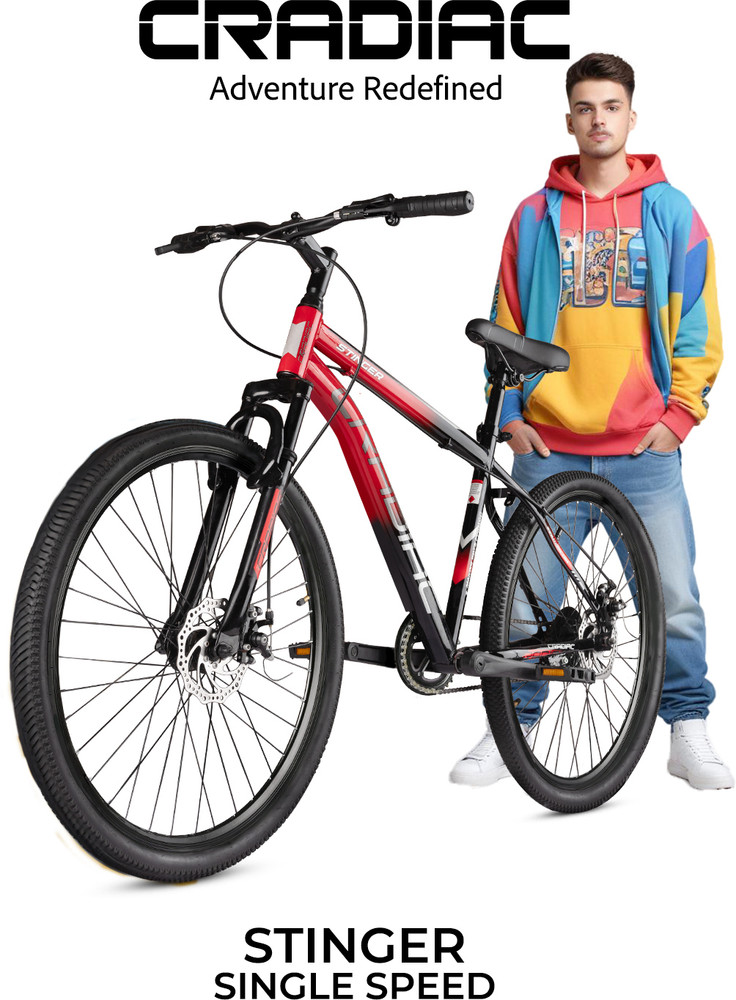 Single speed with disc brakes 2025