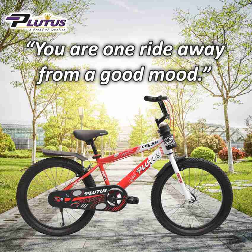Crush mountain 2025 bike