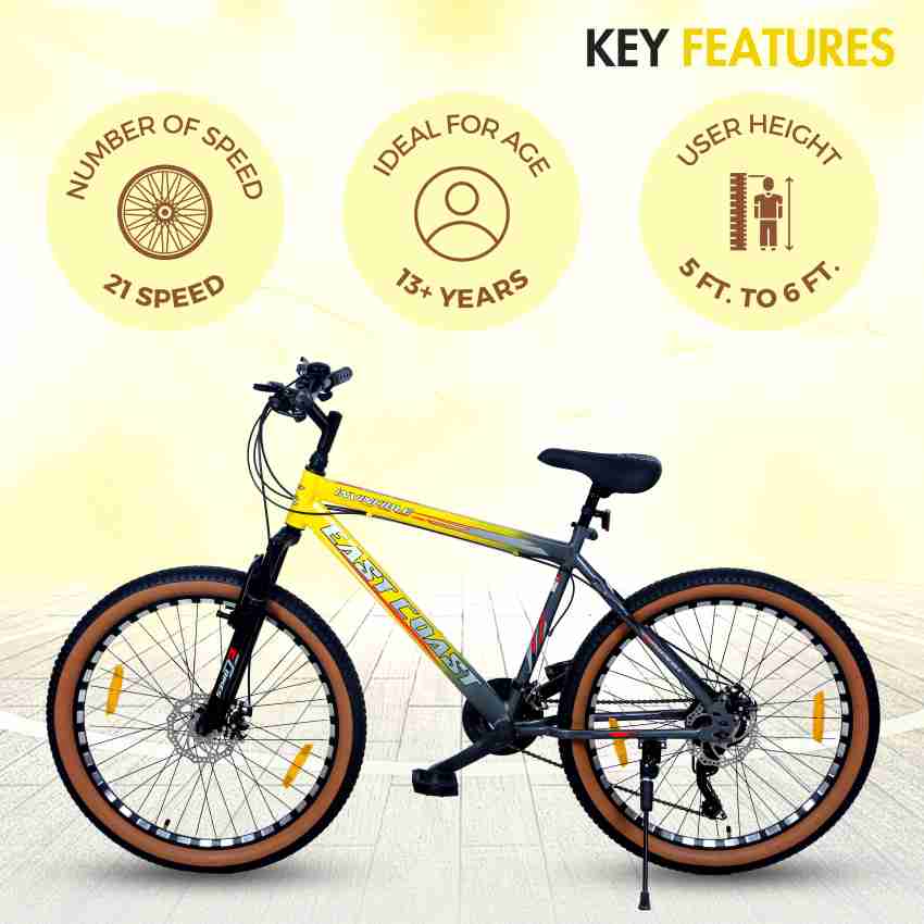 Everest 21 speed mountain bike hot sale