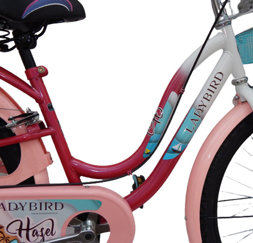 BSA Ladies Birds Hazel Bicycle Inbuilt Carrier Basket Without Gear