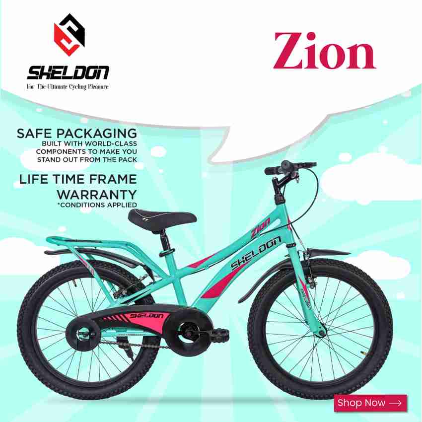 Sheldon Zion Cycle for Kids Power Break and In Built Carrier Sea