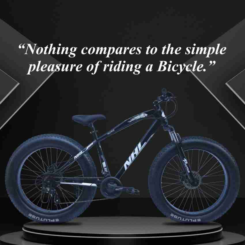 Simple 2025 fat bike