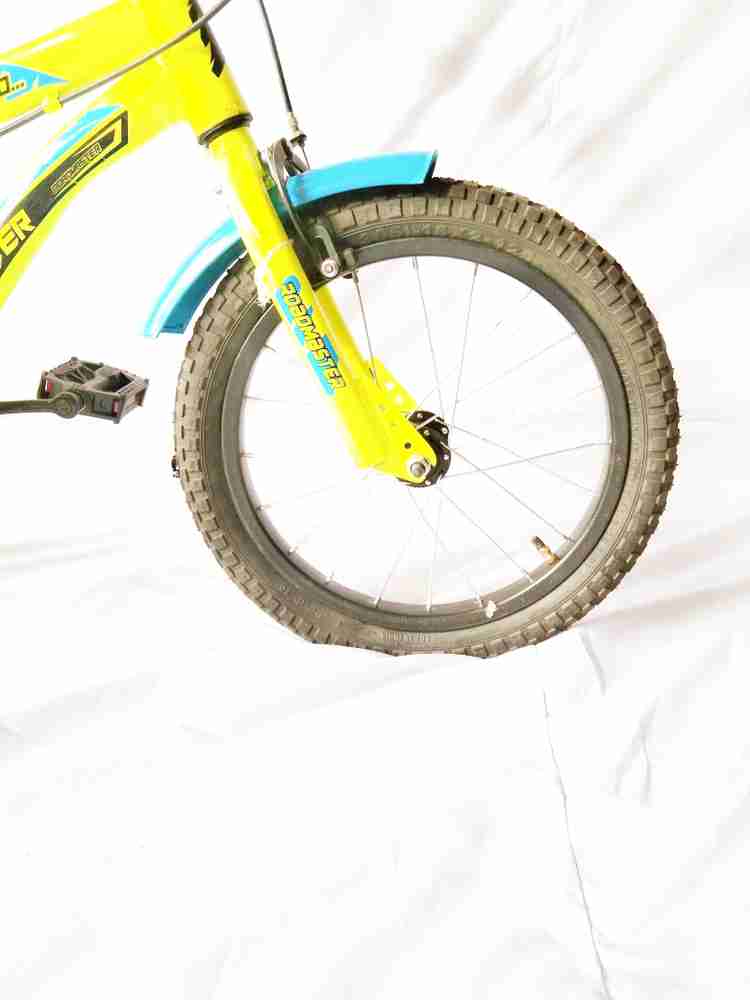 Roadmaster youth online bike
