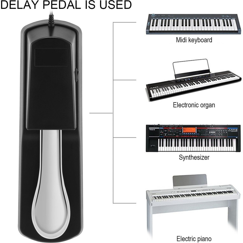 BLUEBERRY R 300 for All Brands Muiscal Keyboards and Piano