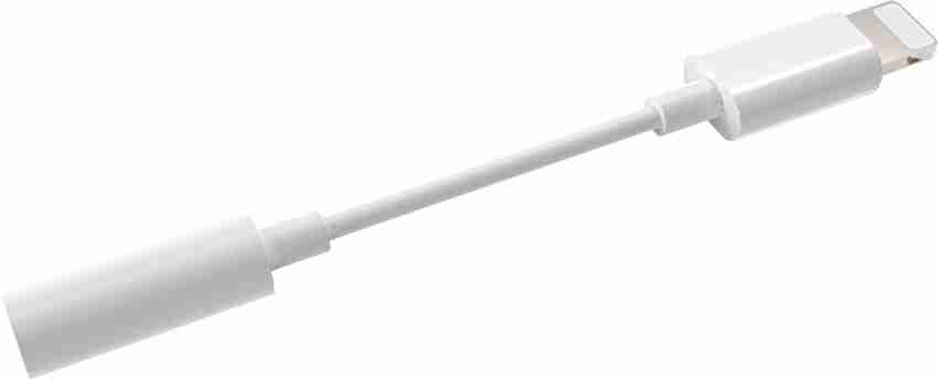 Lightning cable best sale to aux adapter