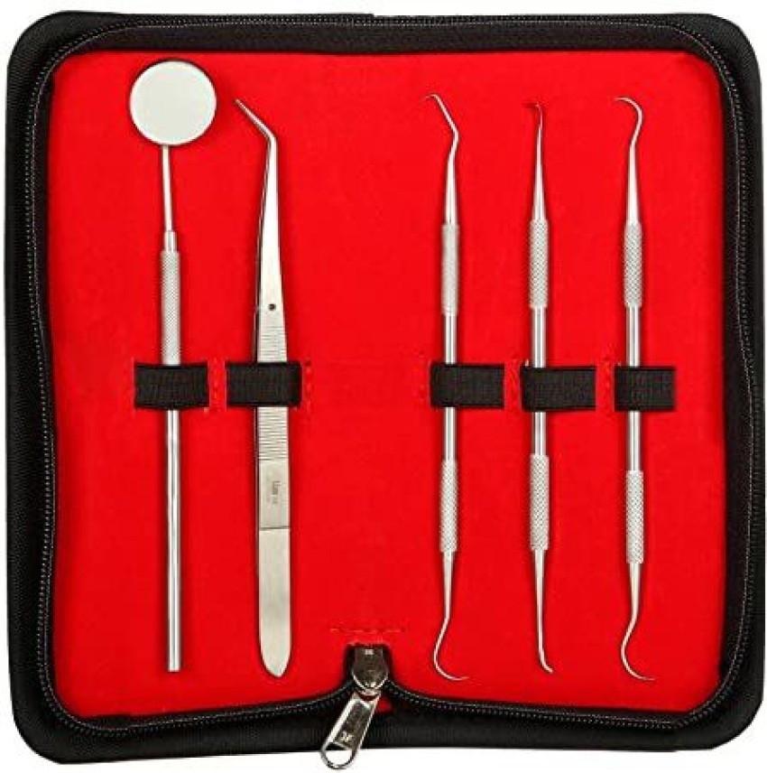 Dental Tools Teeth Cleaning Kit 5pcs/Set