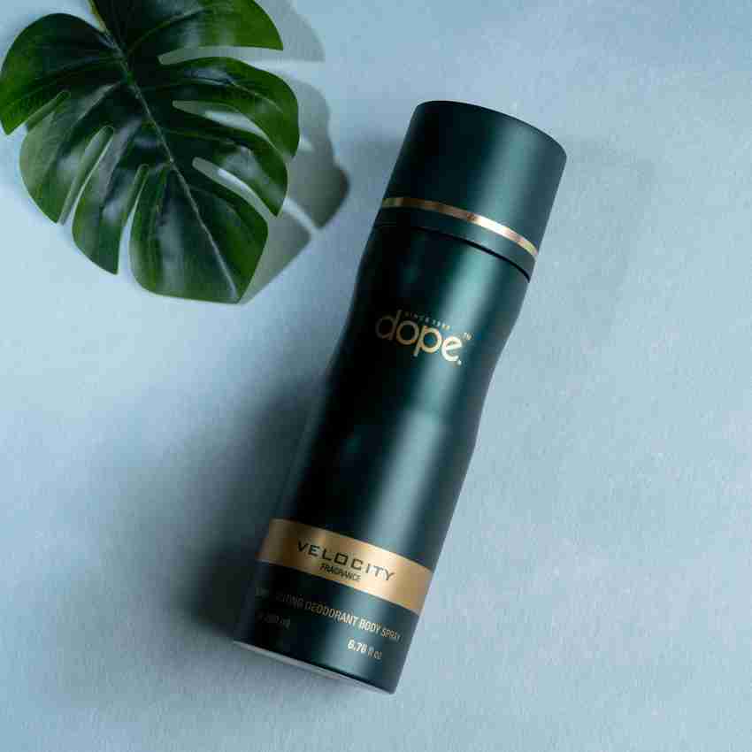 Velocity best sale perfume price