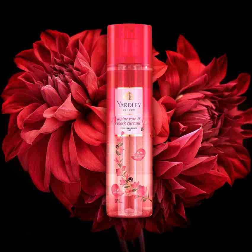 Black currant hotsell perfume