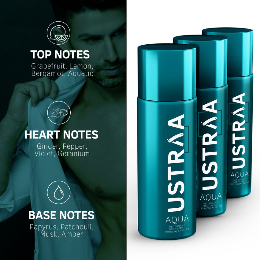 Vestige body spray best sale price