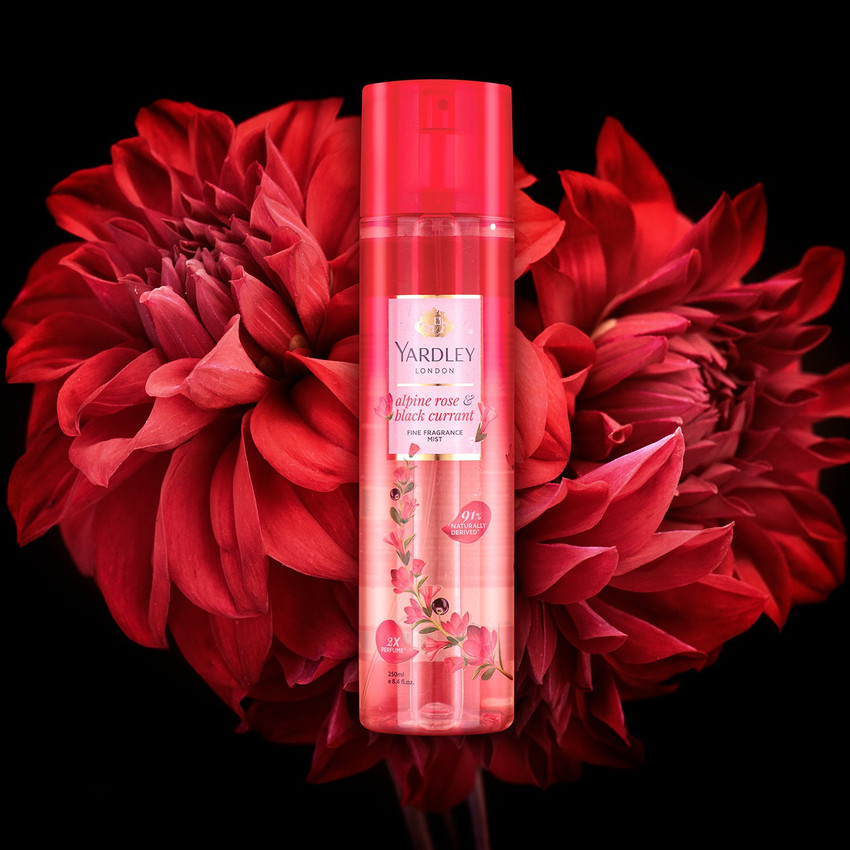 Equivalenza body outlet mist