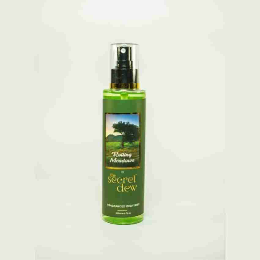 Body shop mist spray