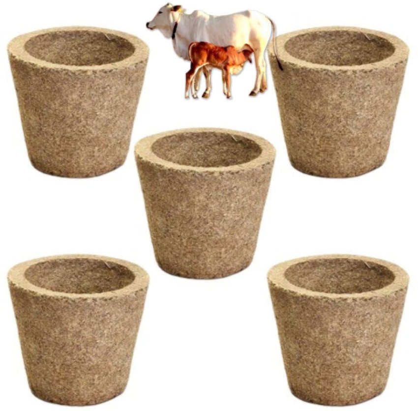 Cow Deep Cup at Rs 180/piece in Durg