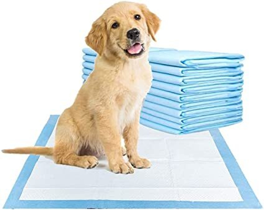 Adult diapers 2025 for dogs