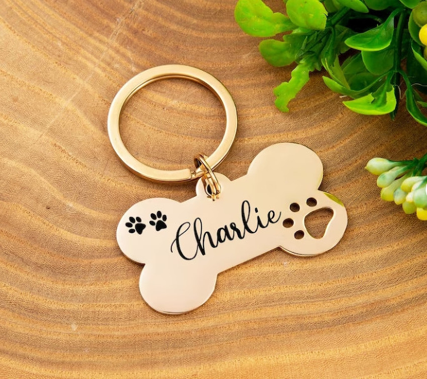 Luxury Brings Personalized Pet Tag for Pet Engraved Dog Tag Plain Gold Dog Tag Price in India Buy Luxury Brings Personalized Pet Tag for Pet Engraved Dog Tag Plain Gold Dog
