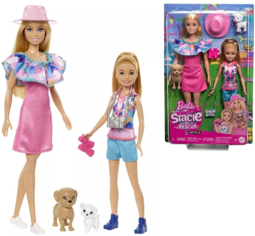 BARBIE Stacie Doll Set with 2 Pet Dogs Accessories Stacie Doll Set with 2 Pet Dogs Accessories Buy DOLL toys in India. shop for BARBIE products