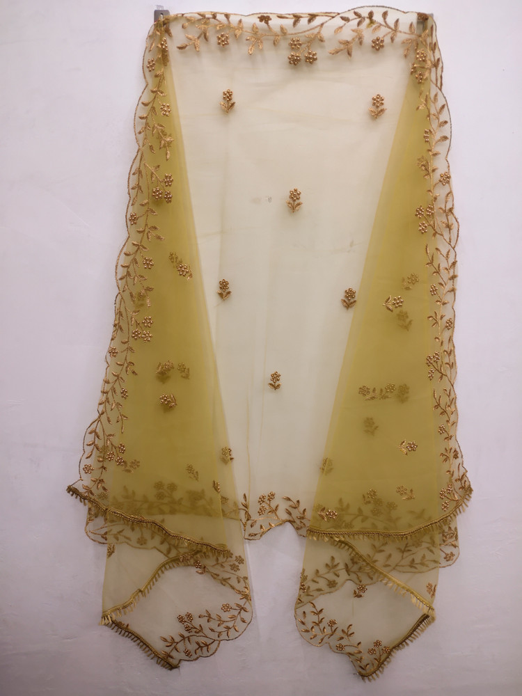 Golden Soft Net Designer Lehenga Choli - ARY4004